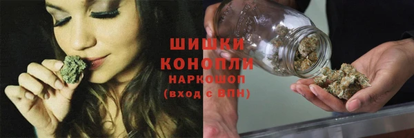 Альфа ПВП Аркадак
