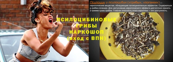 Альфа ПВП Аркадак