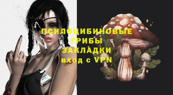 Альфа ПВП Аркадак
